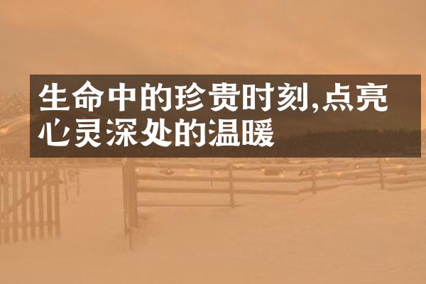 生命中的珍贵时刻,点亮了心灵深处的温暖