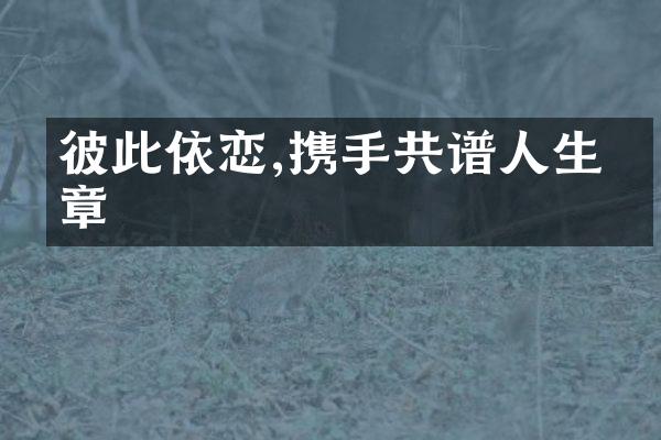 彼此依恋,携手共谱人生乐章
