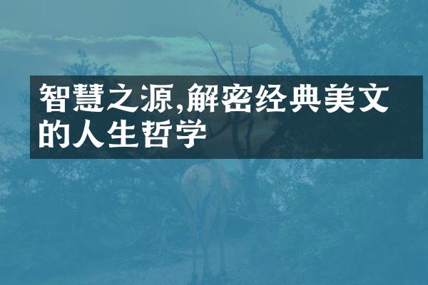 智慧之源,经典美文中的人生哲学