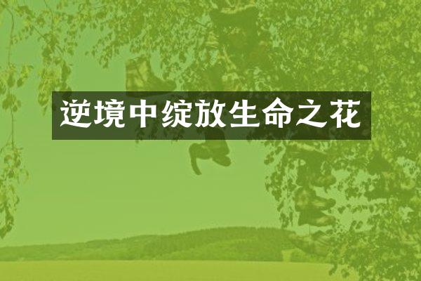 逆境中绽放生命之花