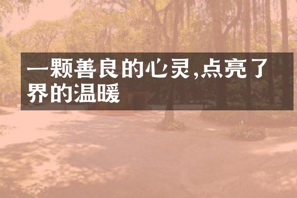一颗善良的心灵,点亮了世界的温暖