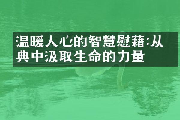 温暖人心的智慧慰藉:从经典中汲取生命的力量