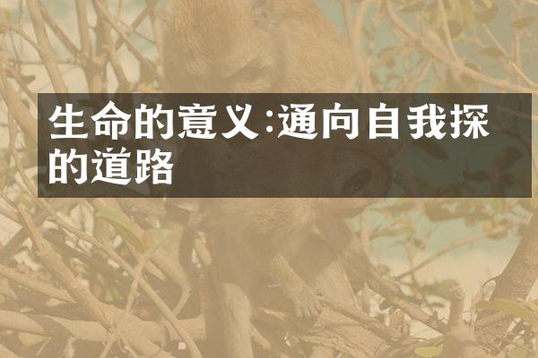 生命的意义:通向自我探索的道路