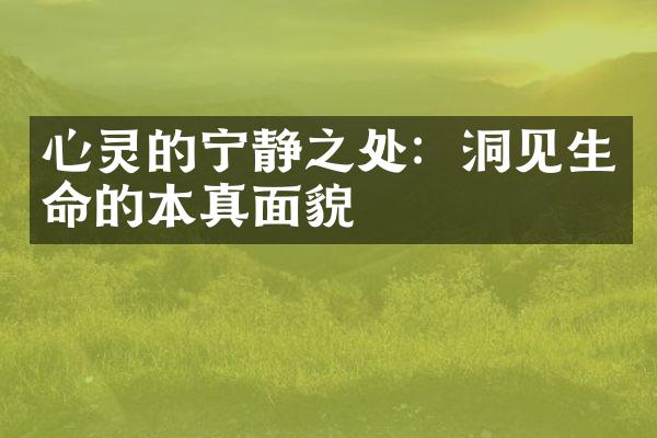 心灵的宁静之处：洞见生命的本真面貌