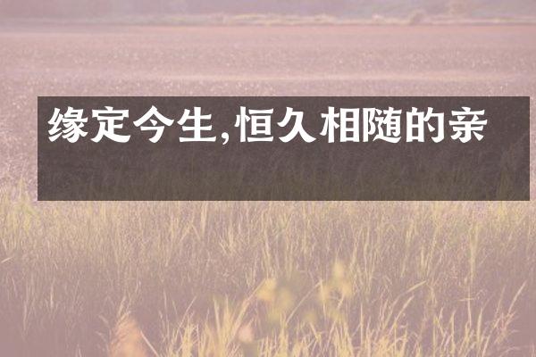 缘定今生,恒久相随的亲情