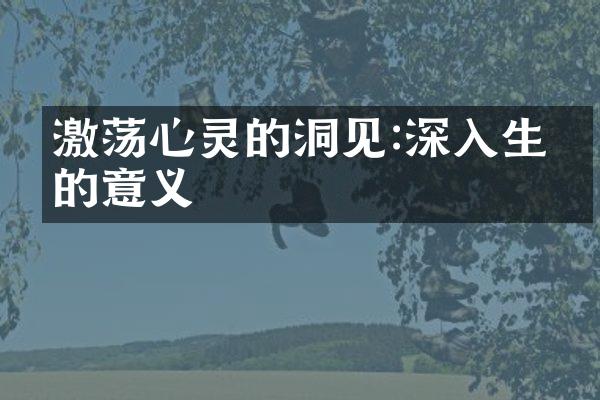 激荡心灵的洞见:深入生命的意义