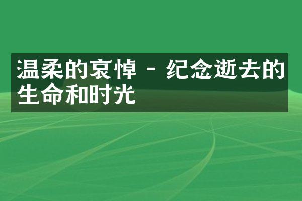 温柔的哀悼 - 逝去的生命和时光