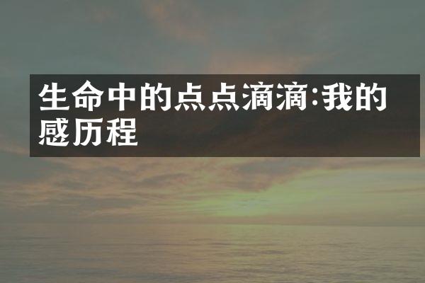 生命中的点点滴滴:我的情感