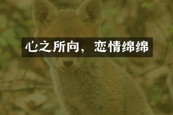 心之所向，恋情绵绵