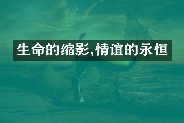 生命的缩影,情谊的永恒