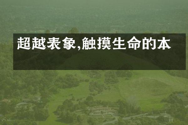 超越表象,触摸生命的本源