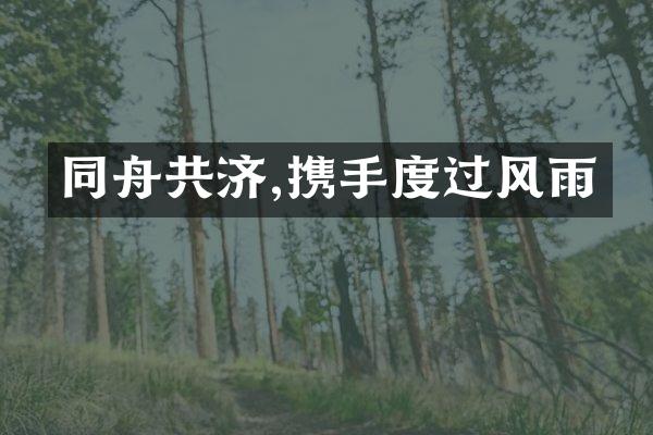 同舟共济,携手度过风雨