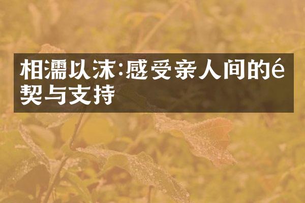 相濡以沫:感受亲人间的默契与支持