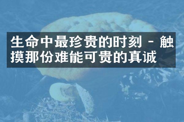 生命中最珍贵的时刻 - 触摸那份难能可贵的真诚