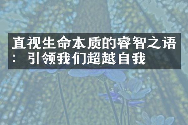 直视生命本质的睿智之语：引领我们超越自我