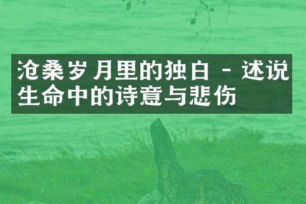 沧桑岁月里的独白 - 述说生命中的诗意与悲伤