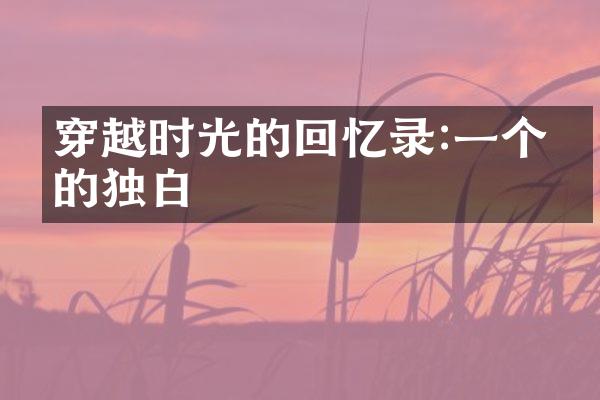 穿越时光的回忆录:一个人的独白