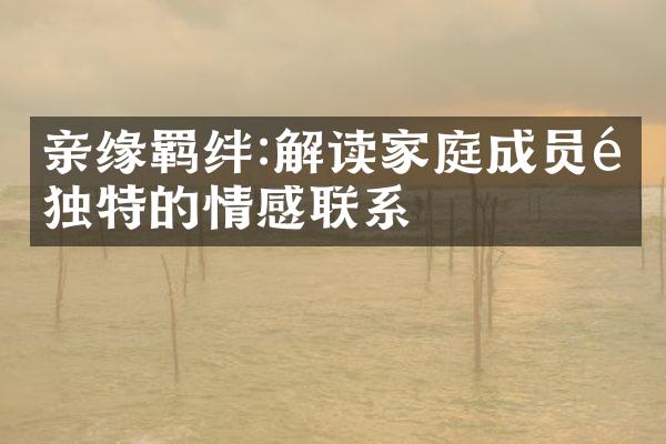 亲缘羁绊:解读家庭成员间独特的情感联系