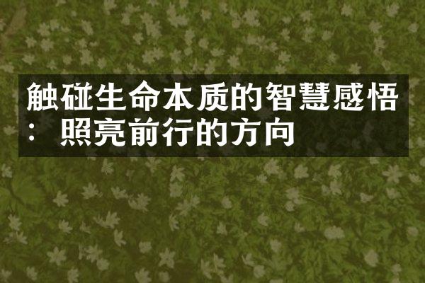 触碰生命本质的智慧感悟：照亮前行的方向
