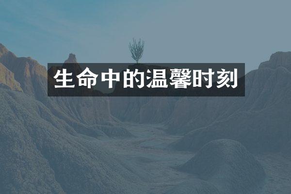 生命中的温馨时刻