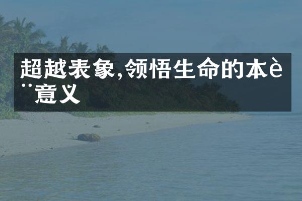 超越表象,领悟生命的本质意义