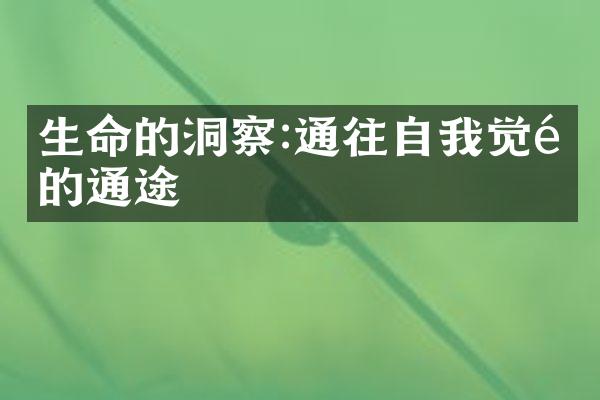 生命的洞察:通往自我觉醒的通途