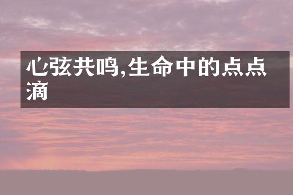 心弦共鸣,生命中的点点滴滴