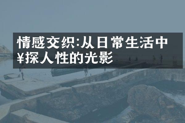 情感交织:从日常生活中窥探人性的光影