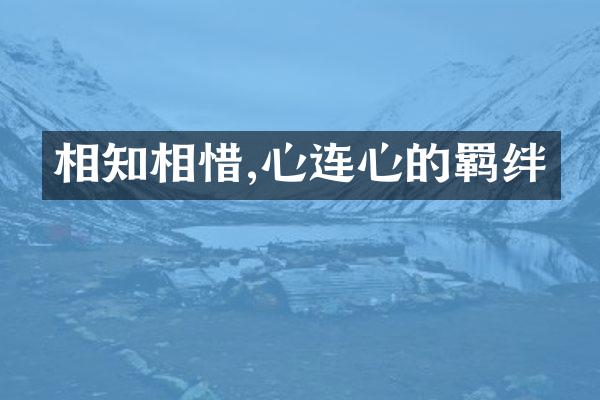 相知相惜,心连心的羁绊