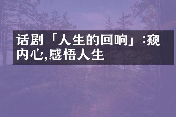 话剧「人生的回响」:窥探内心,感悟人生