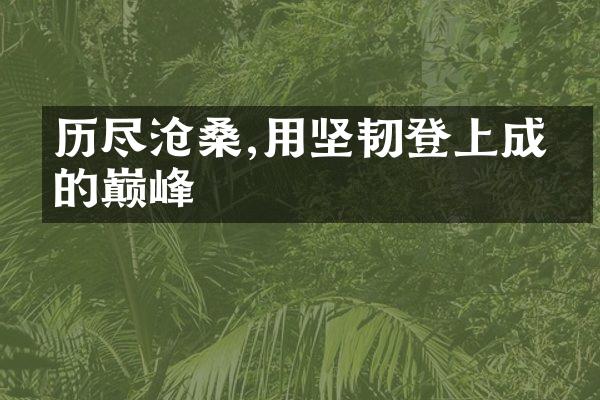 历尽沧桑,用坚韧登上成功的巅峰