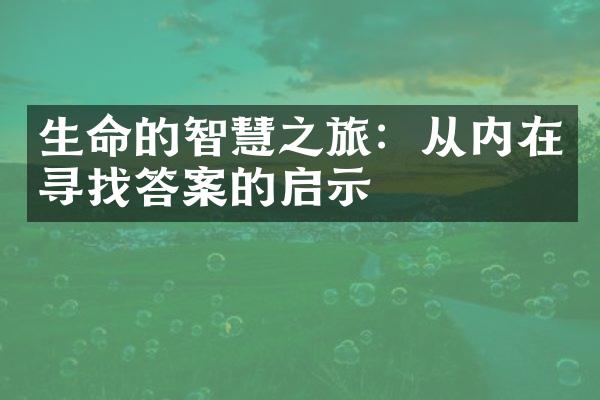 生命的智慧之旅：从内在寻找答案的启示