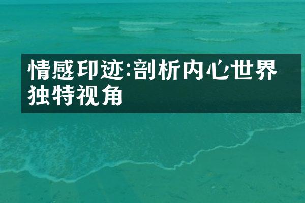 情感印迹:剖析内心世界的独特视角