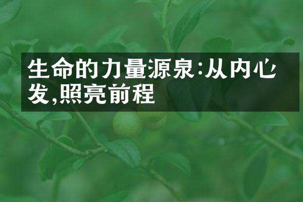生命的力量源泉:从内心出发,照亮前程