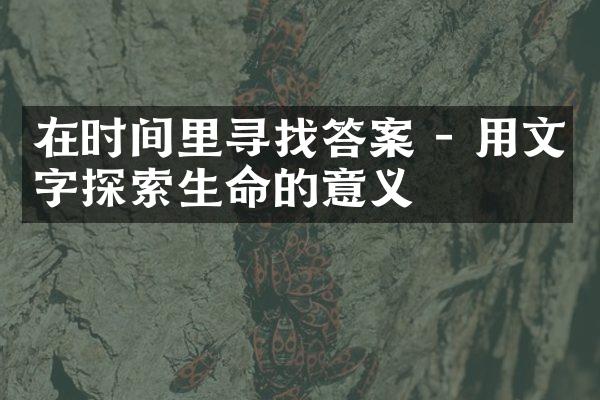 在时间里寻找答案 - 用文字探索生命的意义