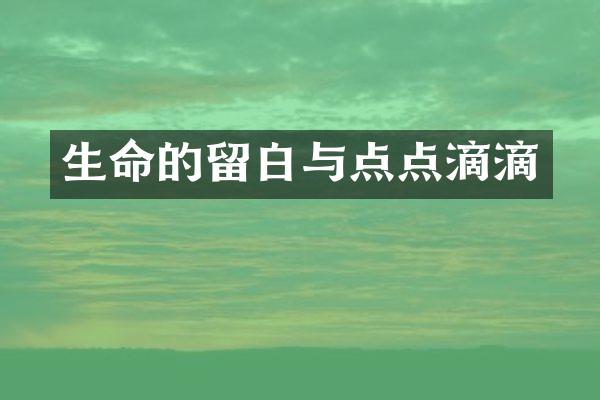 生命的留白与点点滴滴