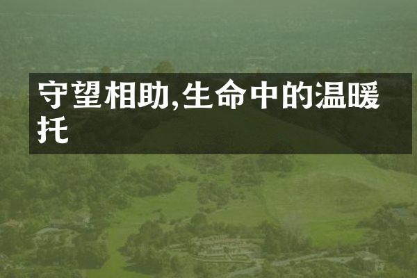 守望相助,生命中的温暖依托