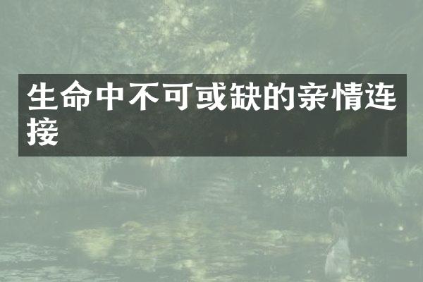 生命中不可或缺的亲情连接