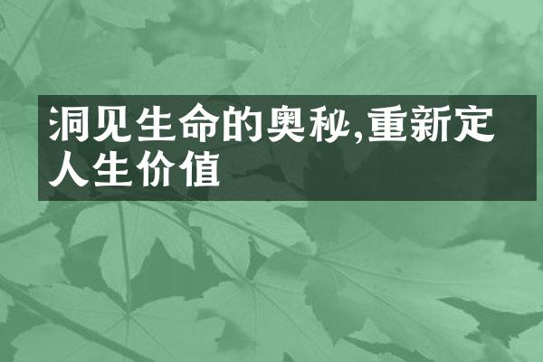 洞见生命的奥秘,重新定义人生价值