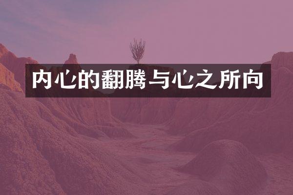 内心的翻腾与心之所向