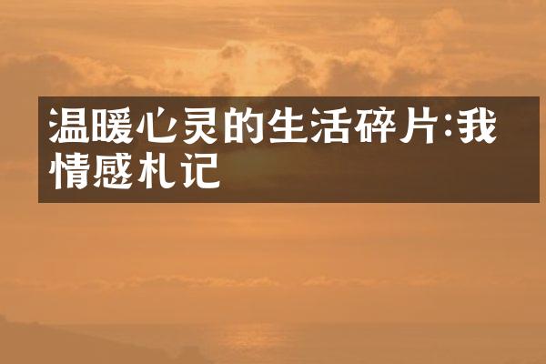 温暖心灵的生活碎片:我的情感札记
