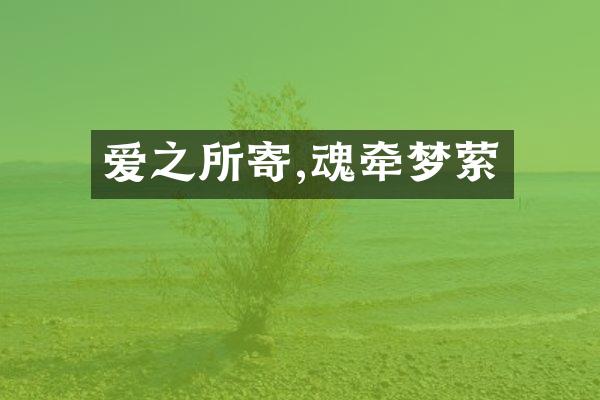 爱之所寄,魂牵梦萦