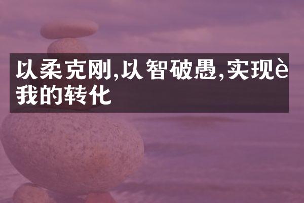 以柔克刚,以智破愚,实现自我的转化