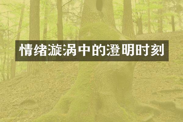 情绪漩涡中的澄明时刻