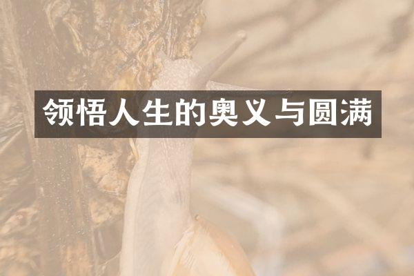 领悟人生的奥义与圆满