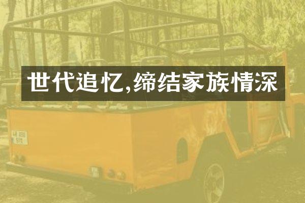 世代追忆,缔结家族情深