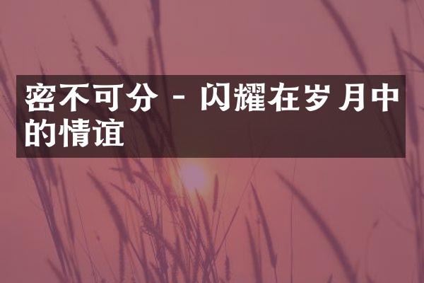 密不可分 - 闪耀在岁月中的情谊