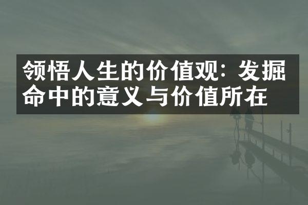 领悟人生的: 发掘生命中的意义与价值所在