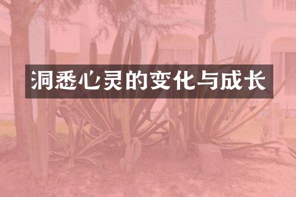 洞悉心灵的变化与成长