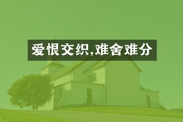 爱恨交织,难舍难分